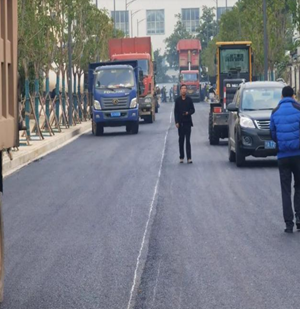 武漢陽邏開發(fā)區(qū)主干道路面黑化工程
