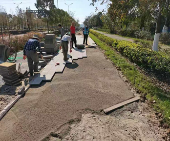 武漢市后湖大道延長(zhǎng)線道路工程