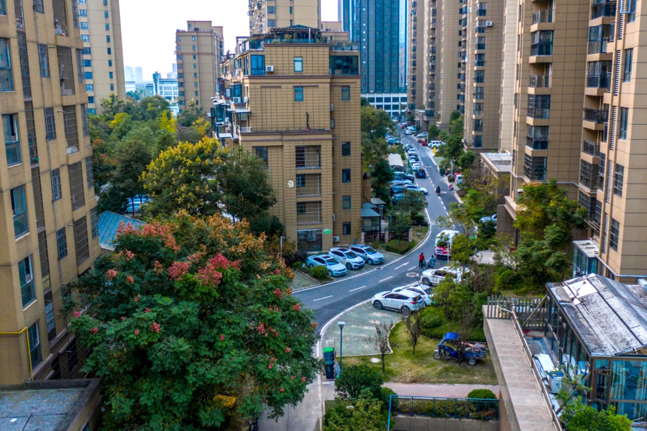 圣特立?國際花園